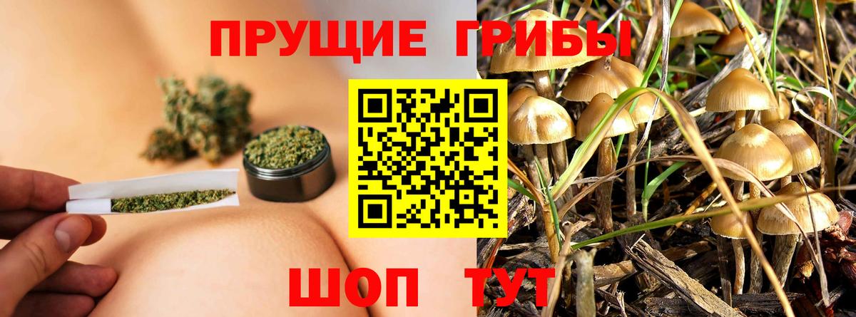 Галлюциногенные грибы Magic Shrooms  Вход с VPN  Ульяновск  Псилоцибиновые грибы Psilocybe 